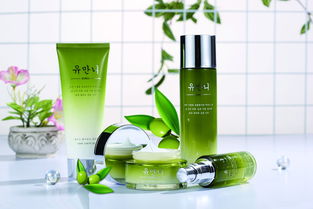 进口化妆品 配方合规、专业物流与清关流程全解析